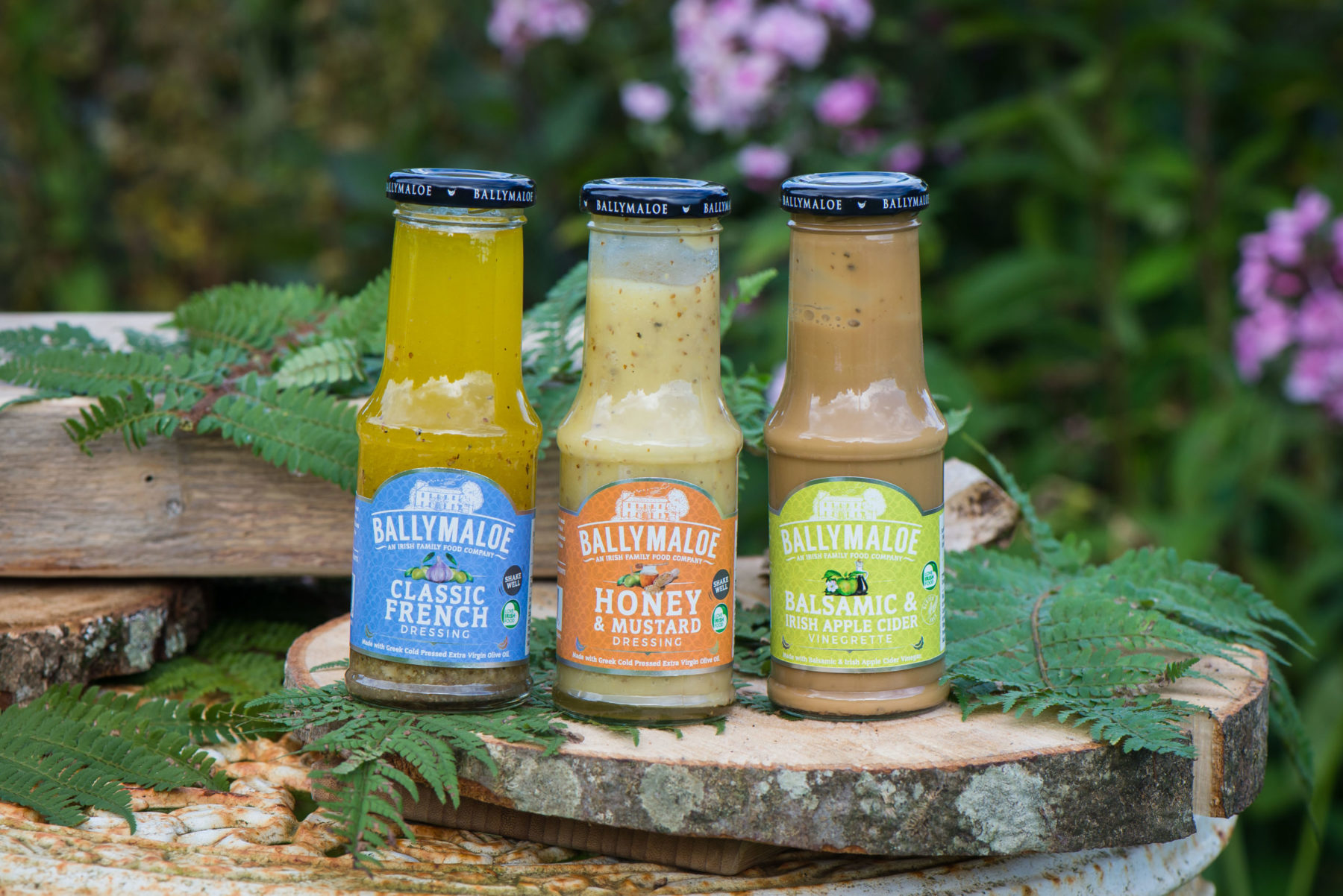 revamped-salad-dressings-ballymaloe-foods