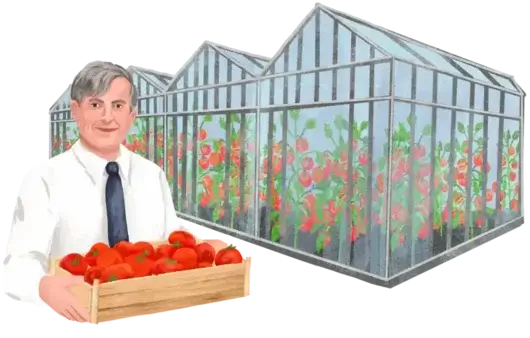 Ivan Tomatoes Glasshouse Illustration
